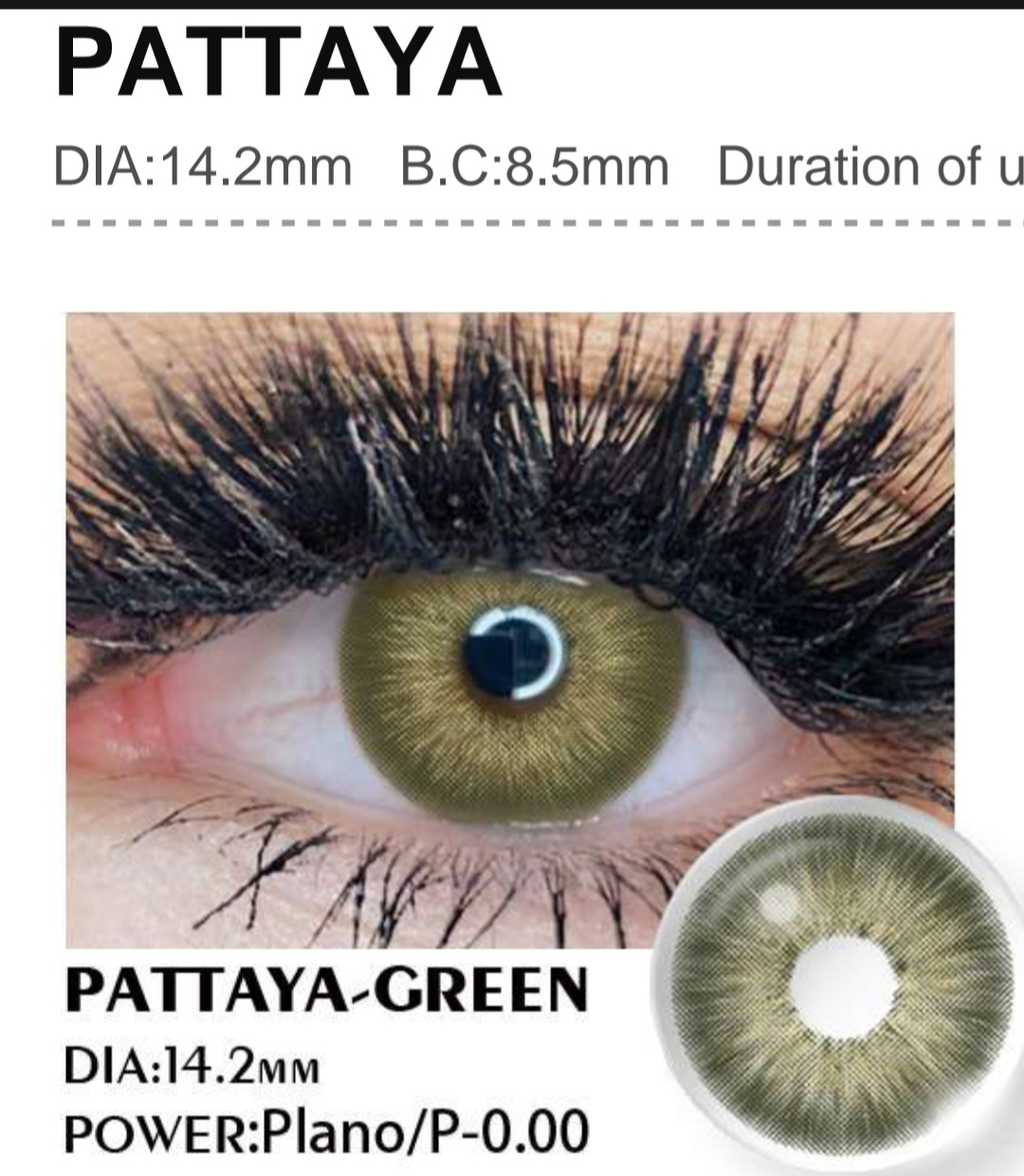 Pattaya Green -1.00d